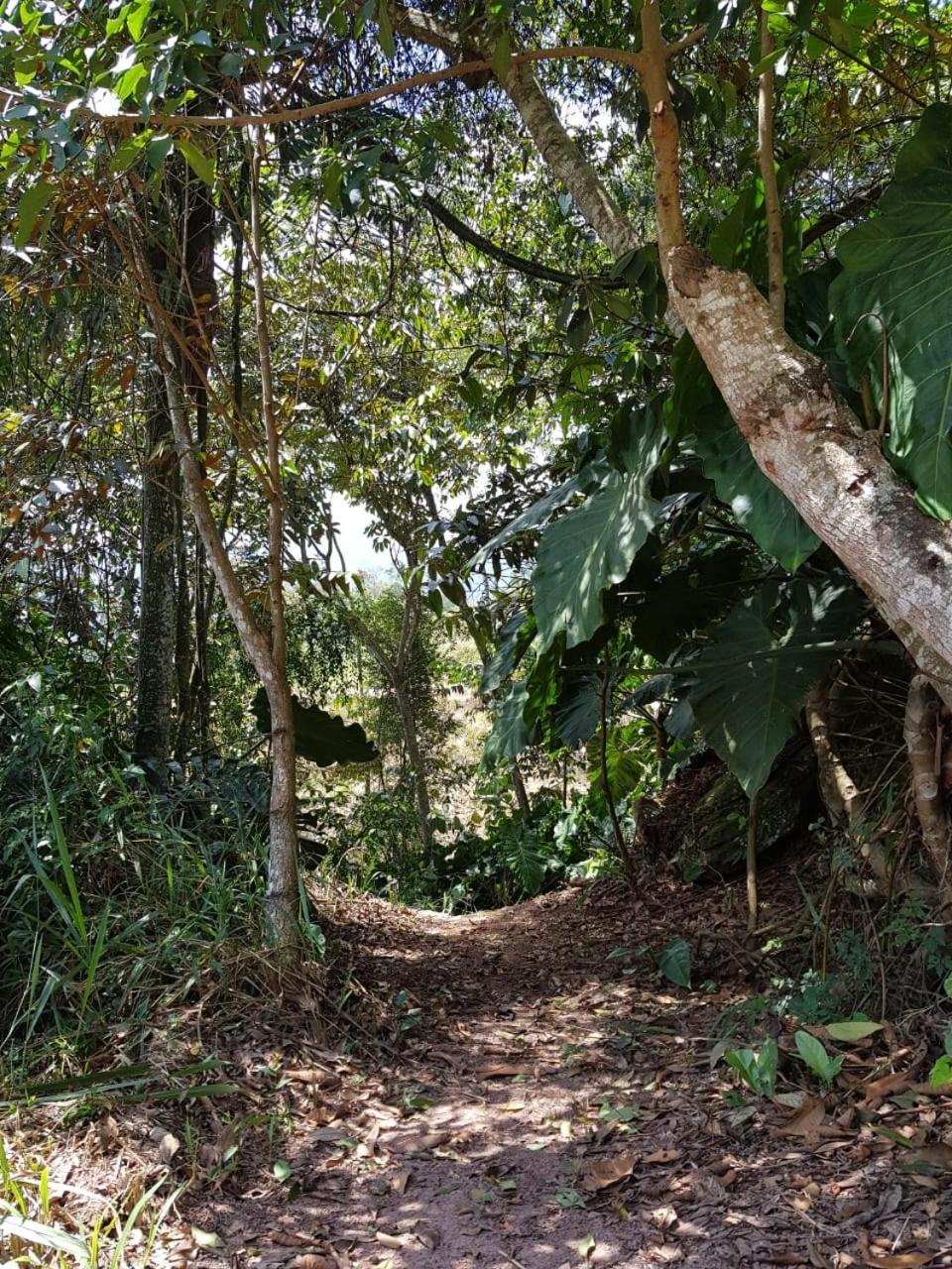 Condado De Pavas De Bucaramanga Floridablanca Ngoại thất bức ảnh